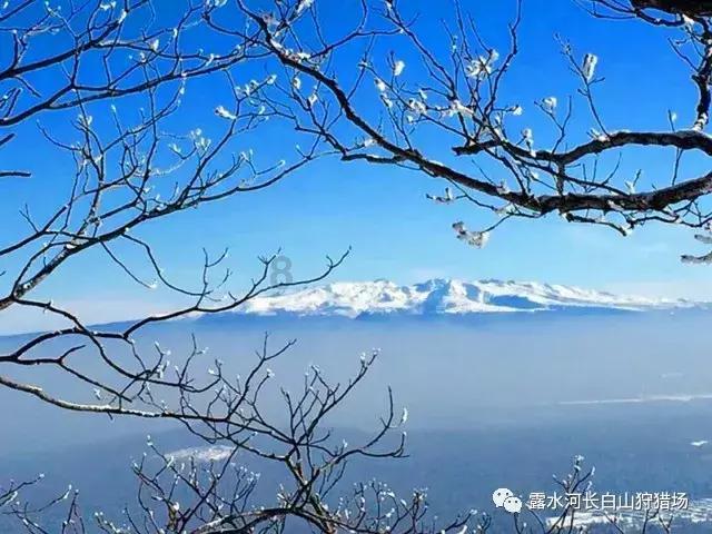 杨洋被女高管撩？鞠婧祎踩毛晓慧？王心凌被出轨了？陶喆出轨洗白